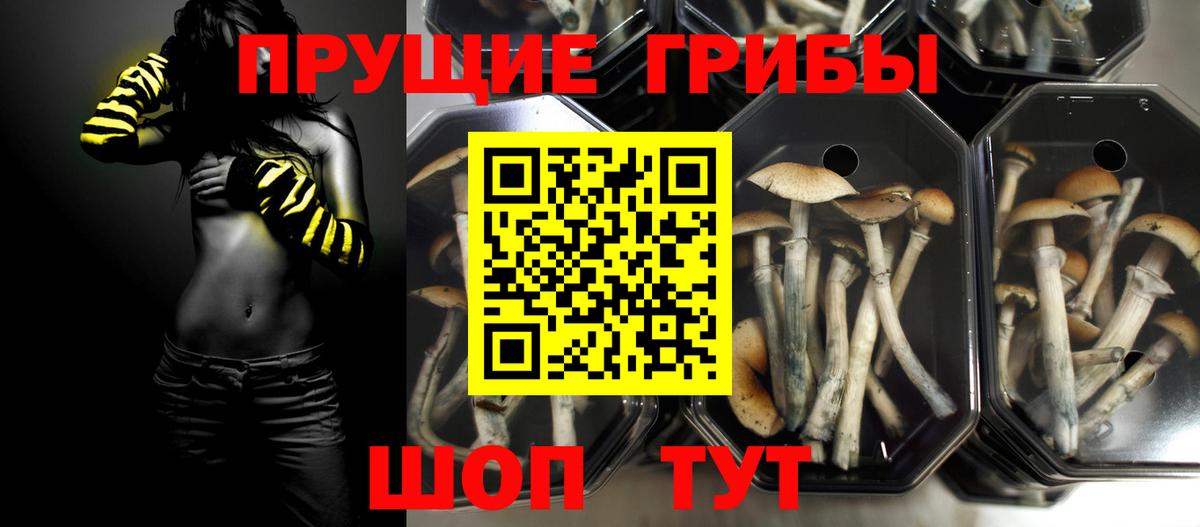Псилоцибиновые грибы мухоморы  Вход с VPN  хочу наркоту  Белая Калитва 