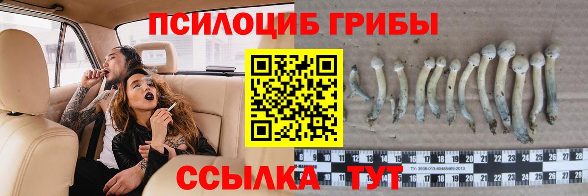 Галлюциногенные грибы Psilocybe Белая Калитва